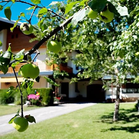 Haus Obermoser Dellach im Drautal Ngoại thất bức ảnh